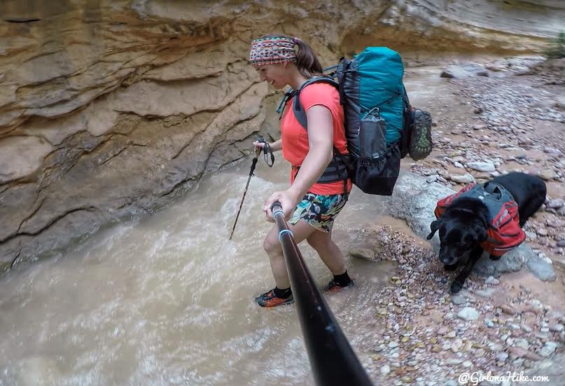 Backpacking the Ashdown Gorge via Rattlesnake Creek