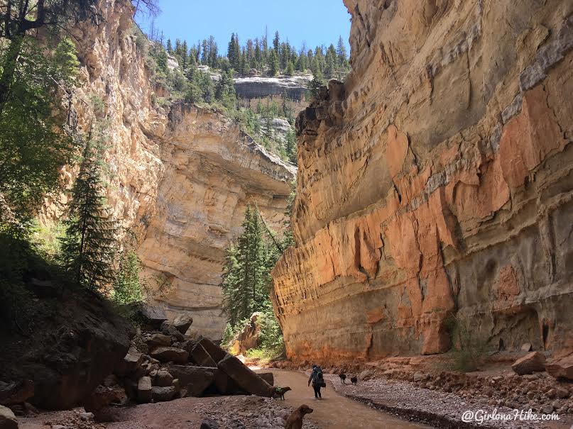 Backpacking the Ashdown Gorge via Rattlesnake Creek