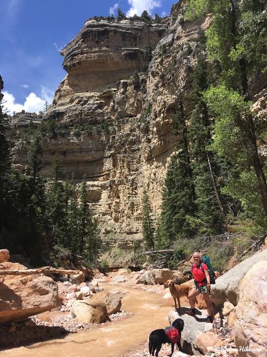 Backpacking the Ashdown Gorge via Rattlesnake Creek