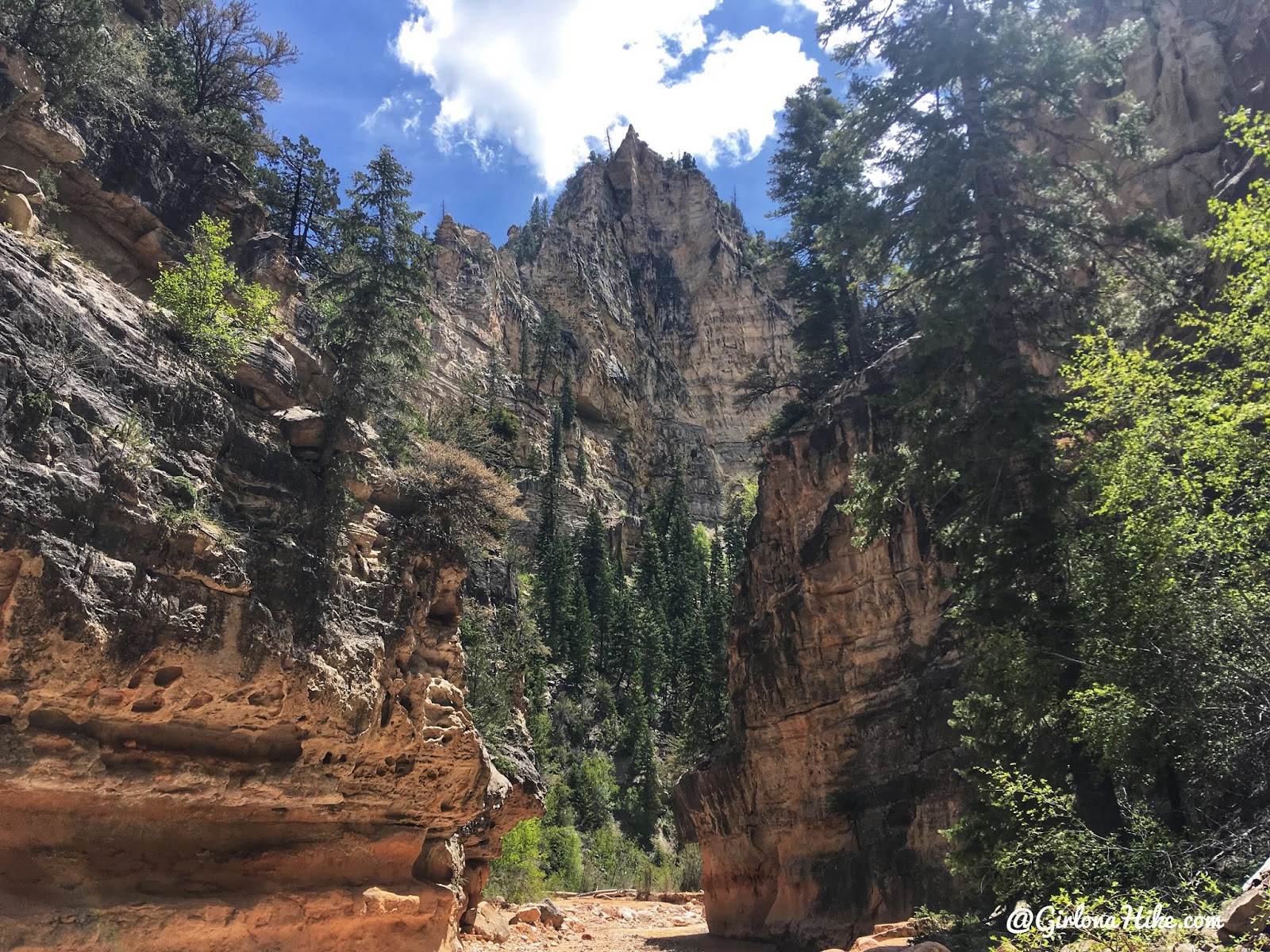 Backpacking the Ashdown Gorge via Rattlesnake Creek