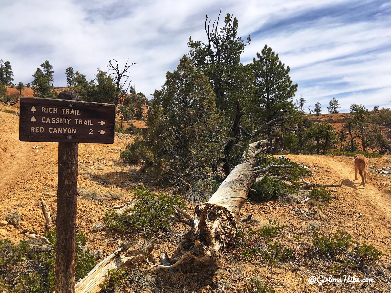 Hiking the Butch Cassidy Trail, Red Canyon near Bryce Canyon National Park