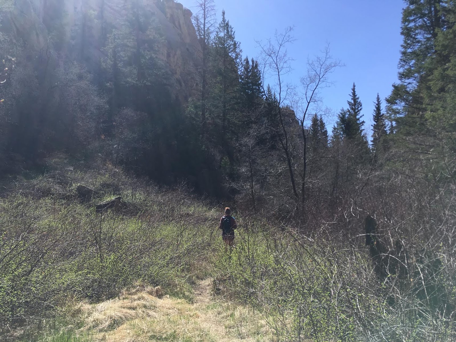 Hiking Pine Creek (The Box Trail) in Escalante, Utah, Hiking in Grand Staircase Escalante National Monument, Hiking in Utah with Dogs