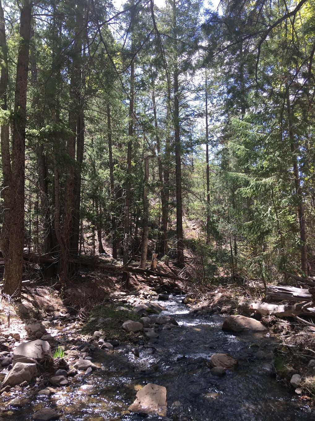 Hiking Pine Creek (The Box Trail) in Escalante, Utah, Hiking in Grand Staircase Escalante National Monument, Hiking in Utah with Dogs