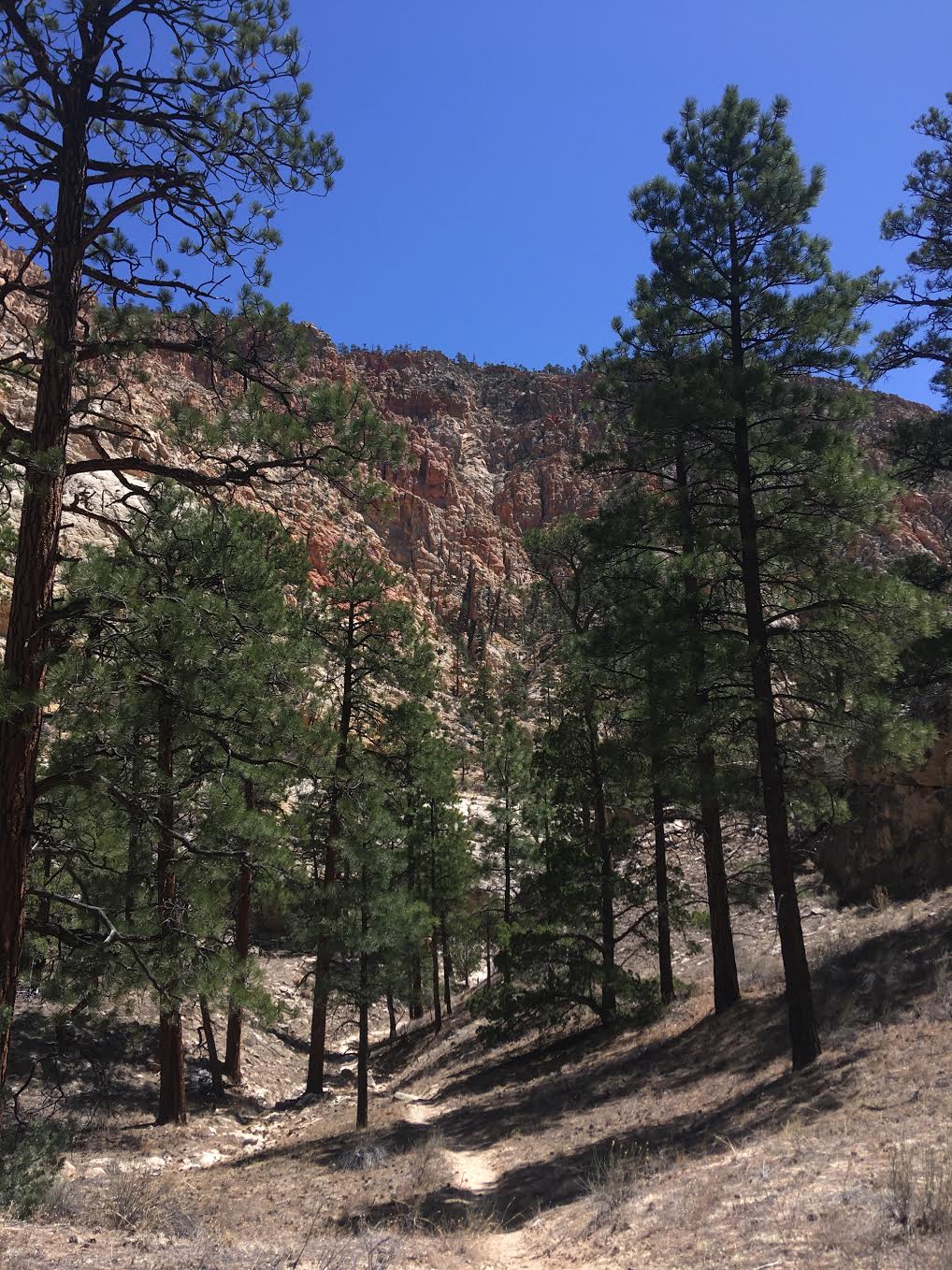 Hiking Pine Creek (The Box Trail) in Escalante, Utah, Hiking in Grand Staircase Escalante National Monument, Hiking in Utah with Dogs