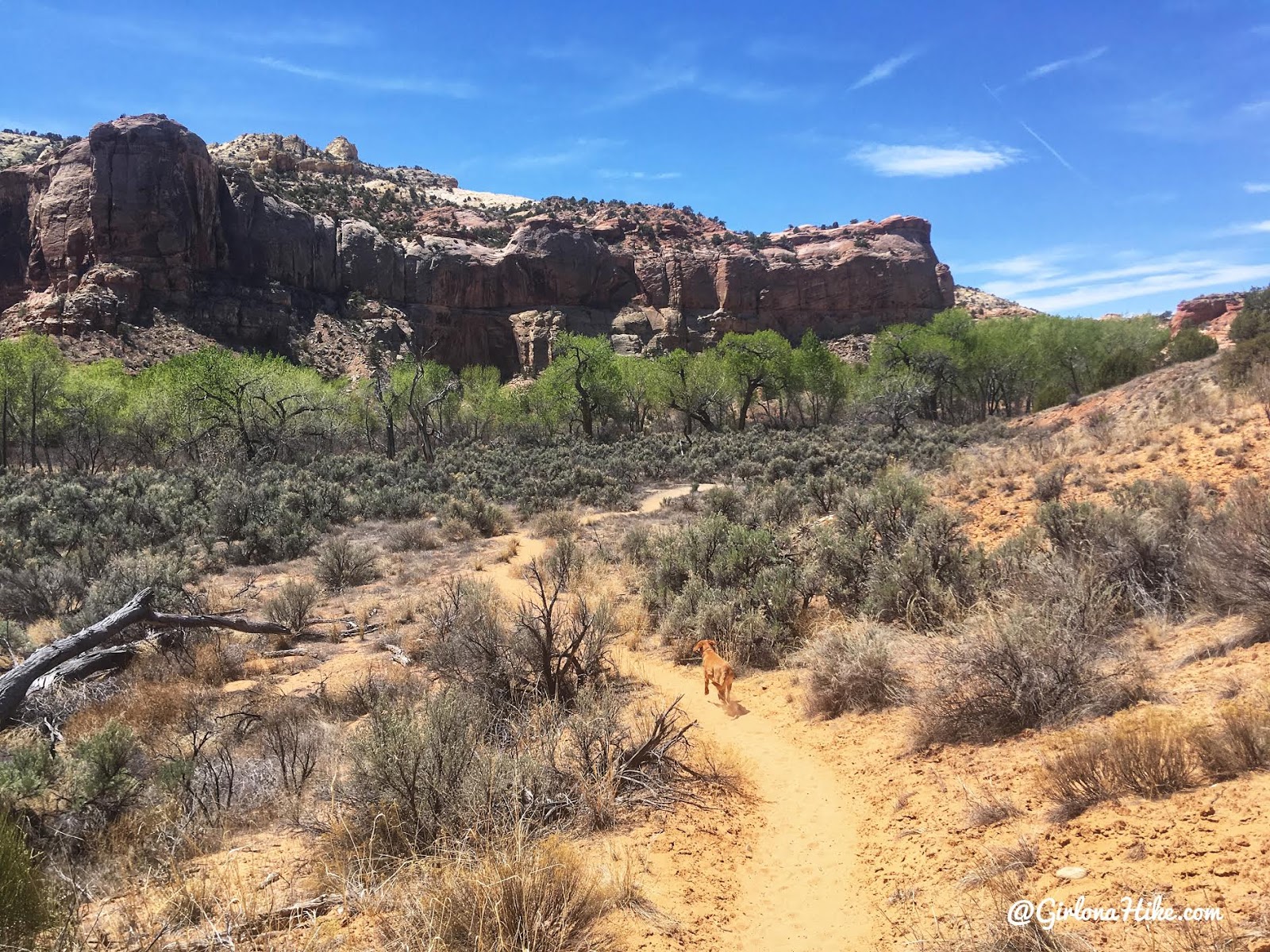 Backpacking the Escalante River Trail, Grand Staircase Escalante National Monument