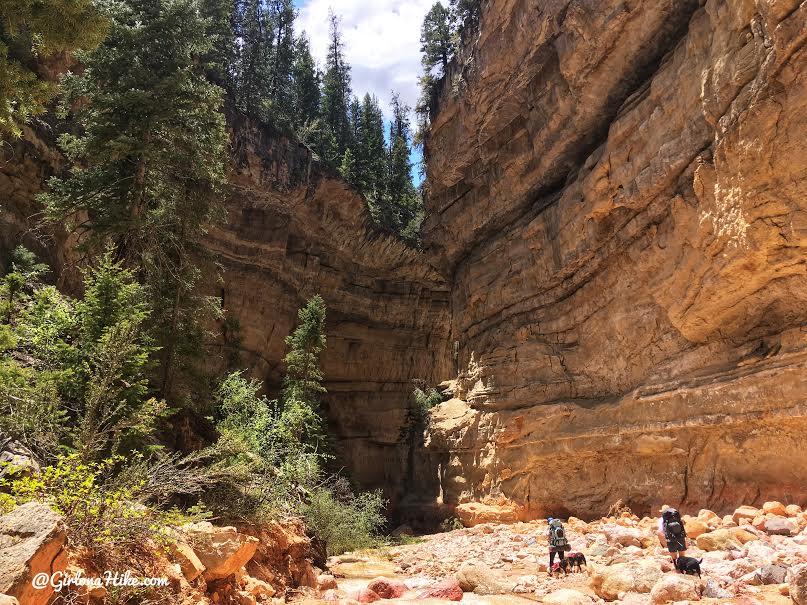 Backpacking the Ashdown Gorge via Rattlesnake Creek