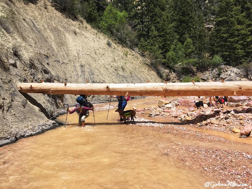 Backpacking the Ashdown Gorge via Rattlesnake Creek