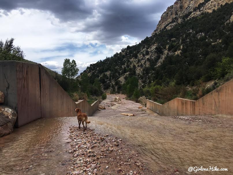 Backpacking the Ashdown Gorge via Rattlesnake Creek