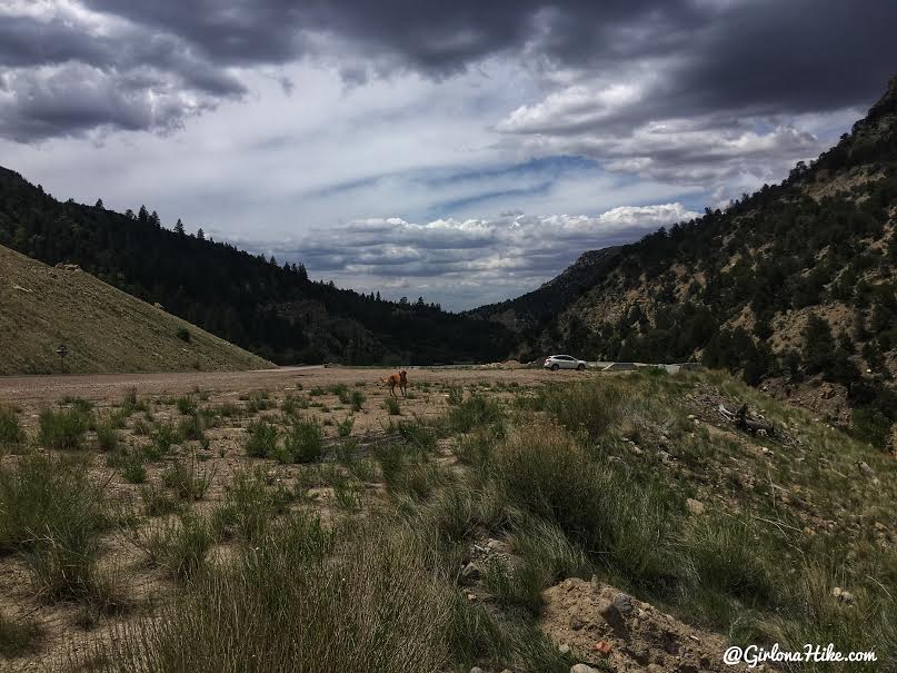 Backpacking the Ashdown Gorge via Rattlesnake Creek