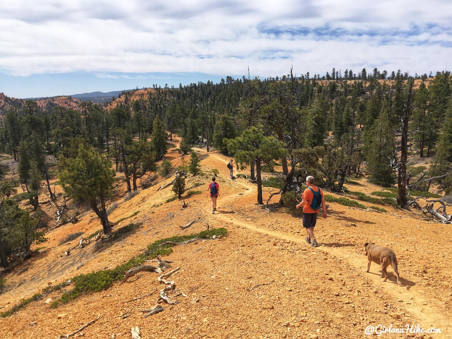 Hiking the Butch Cassidy Trail, Red Canyon near Bryce Canyon National Park