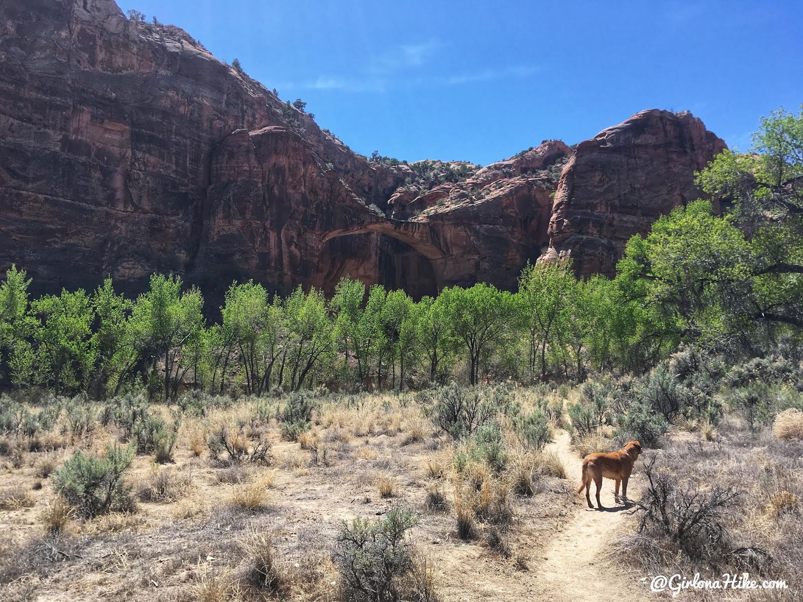 Backpacking the Escalante River Trail, Grand Staircase Escalante National Monument