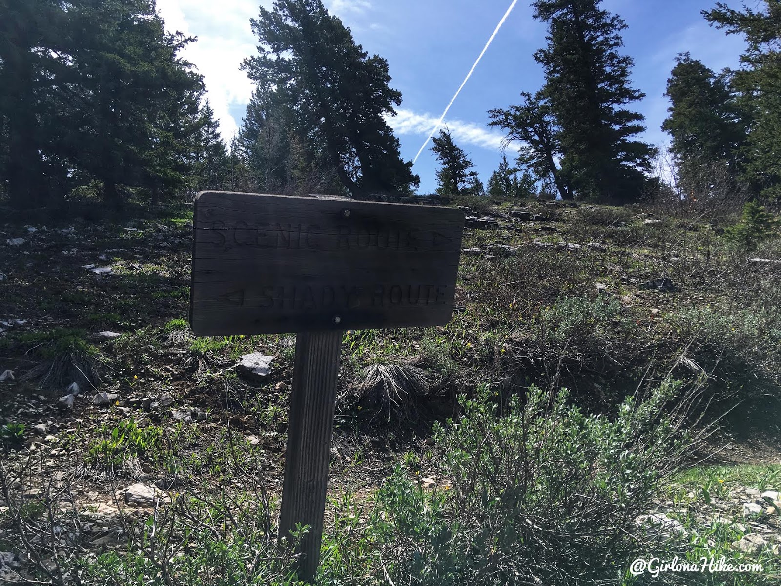 Hiking to the Jardine Juniper Tree, Logan Canyon