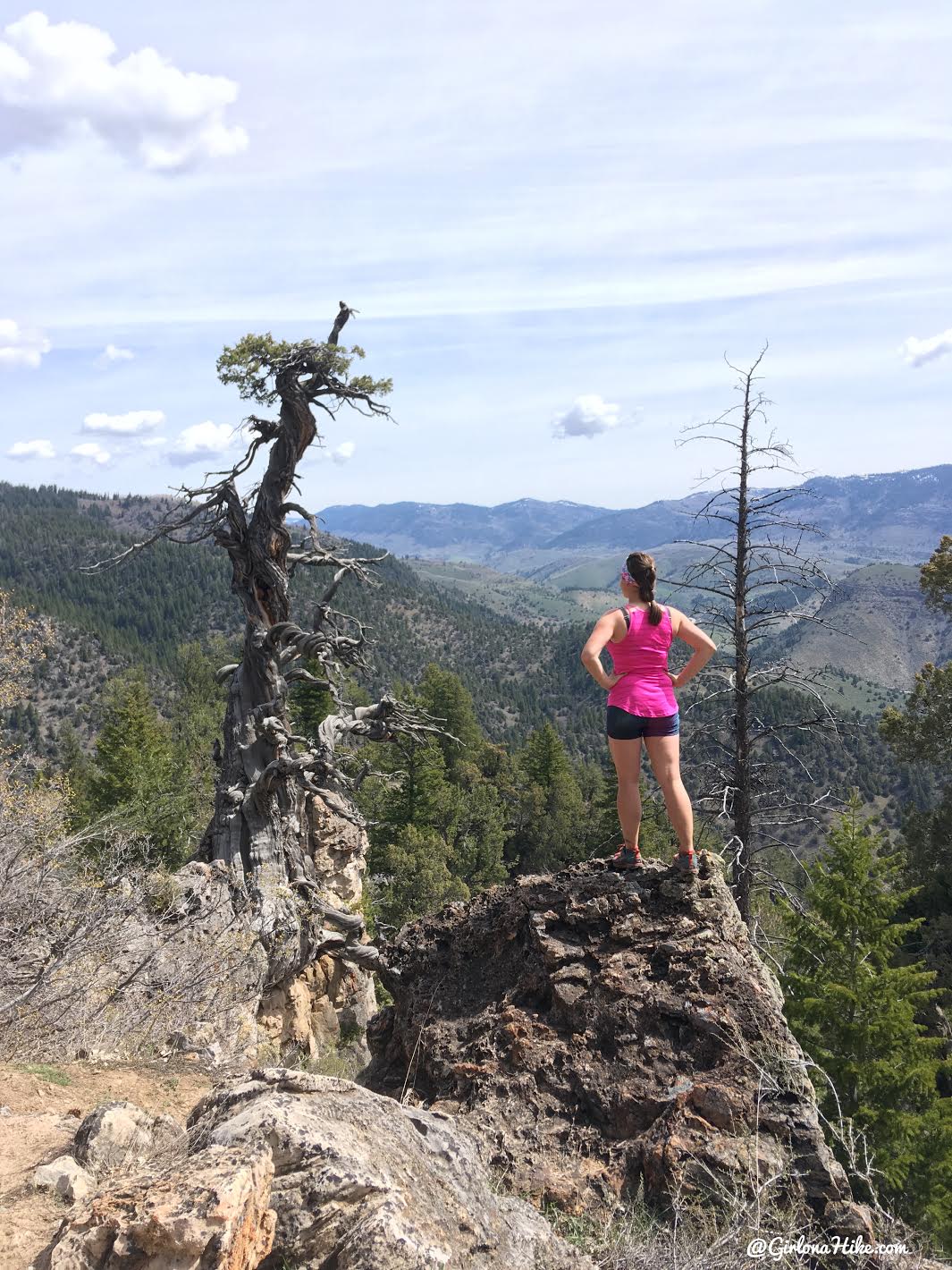 Hiking to the Jardine Juniper Tree, Logan Canyon