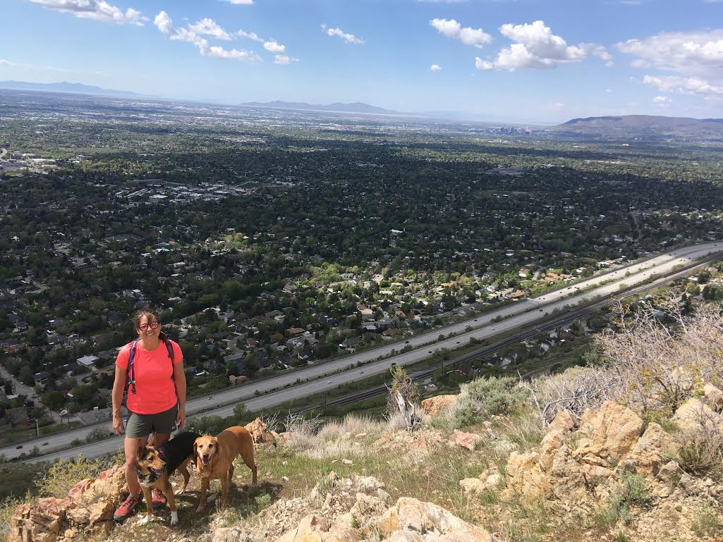 Hiking from Heugh's Canyon to Olympus Cove, Bonneville Shoreline Trail, Hiking in Utah with Dogs