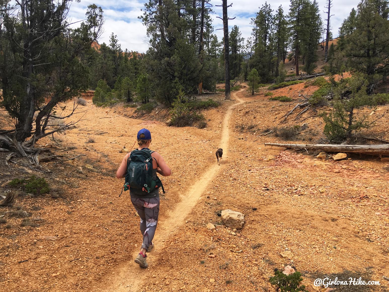 Hiking the Butch Cassidy Trail, Red Canyon near Bryce Canyon National Park