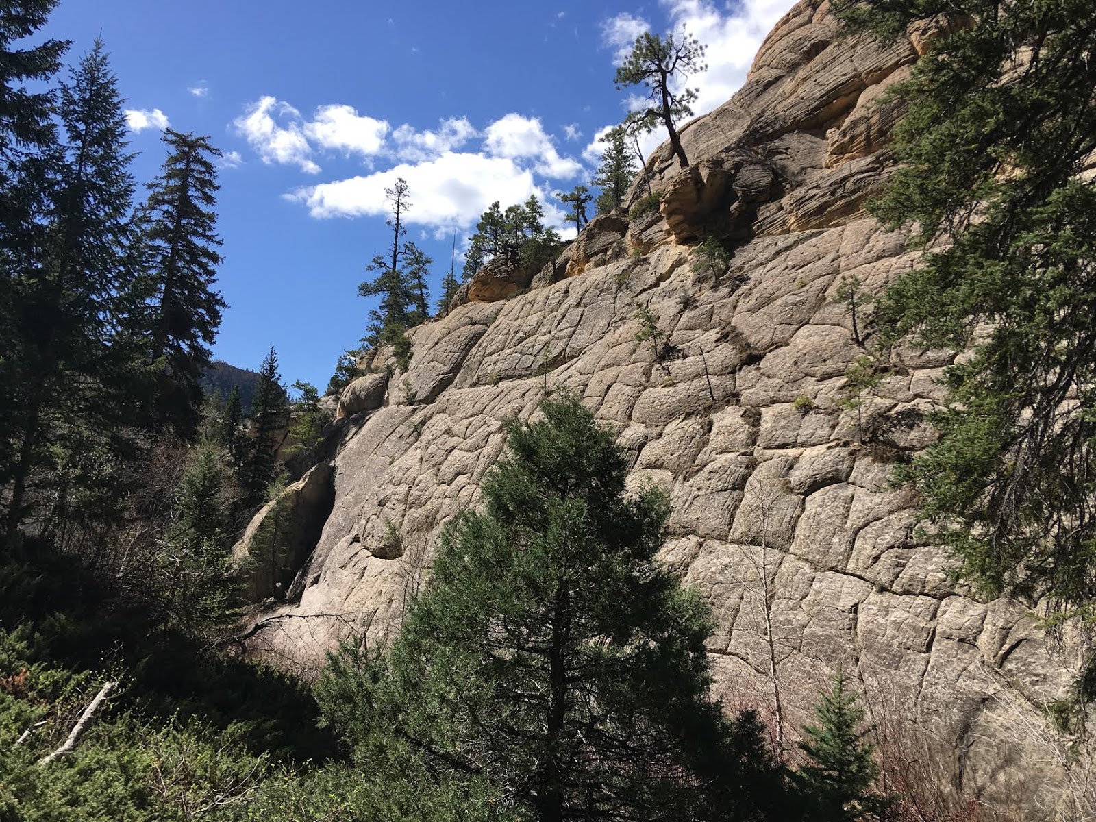 Hiking Pine Creek (The Box Trail) in Escalante, Utah, Hiking in Grand Staircase Escalante National Monument, Hiking in Utah with Dogs