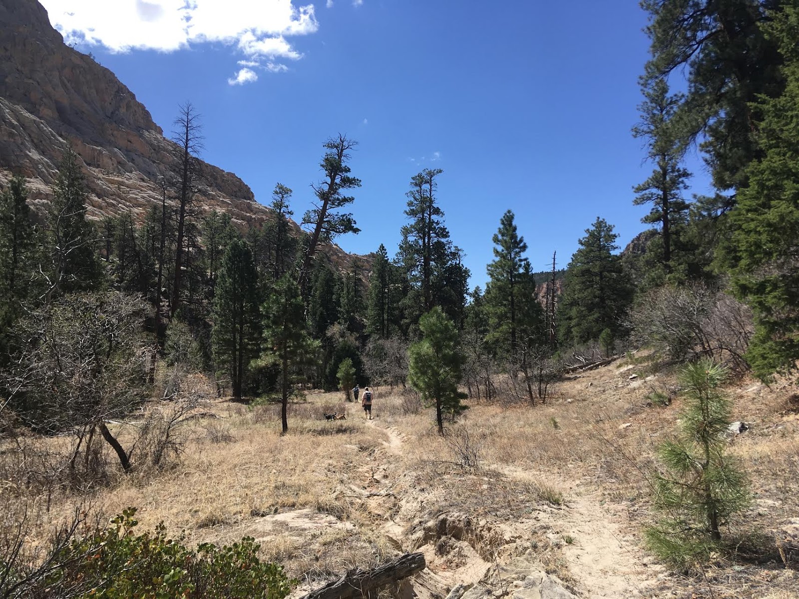 Hiking Pine Creek (The Box Trail) in Escalante, Utah, Hiking in Grand Staircase Escalante National Monument, Hiking in Utah with Dogs