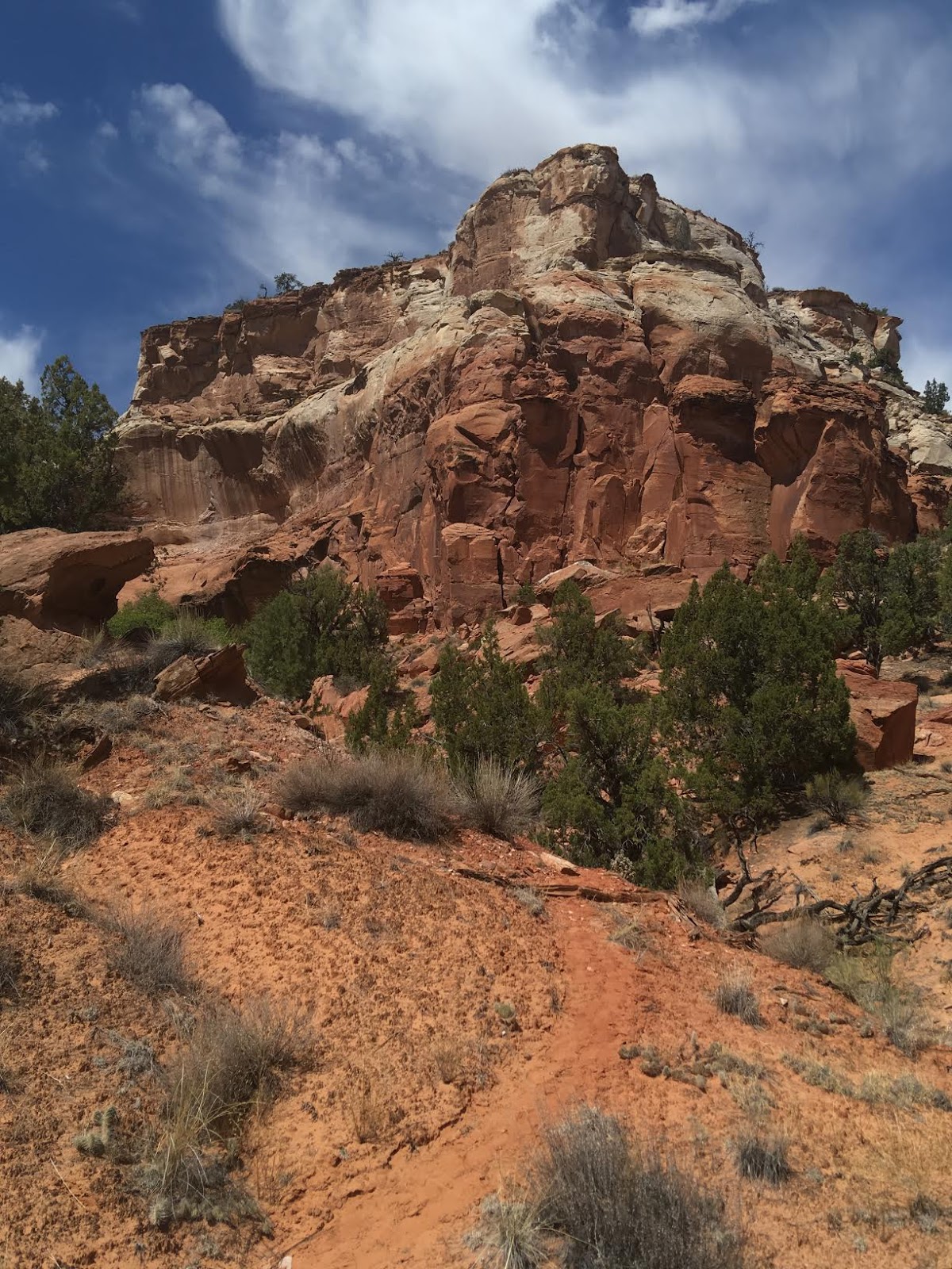 Bowington Arch Grand Staircase Escalante National Monument (GSENM), Hiking with Dogs in Utah