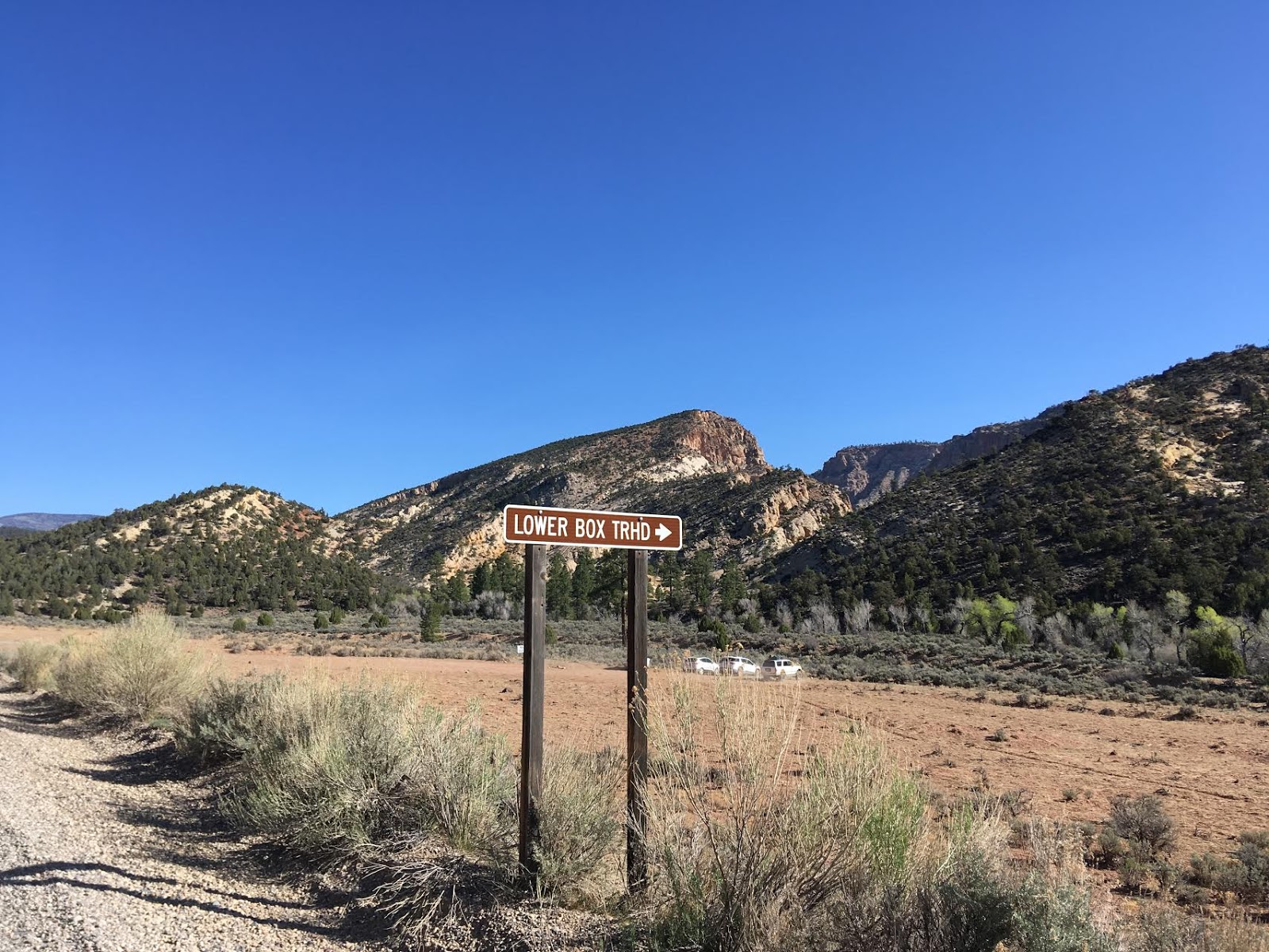 Hiking Pine Creek (The Box Trail) in Escalante, Utah, Hiking in Grand Staircase Escalante National Monument, Hiking in Utah with Dogs