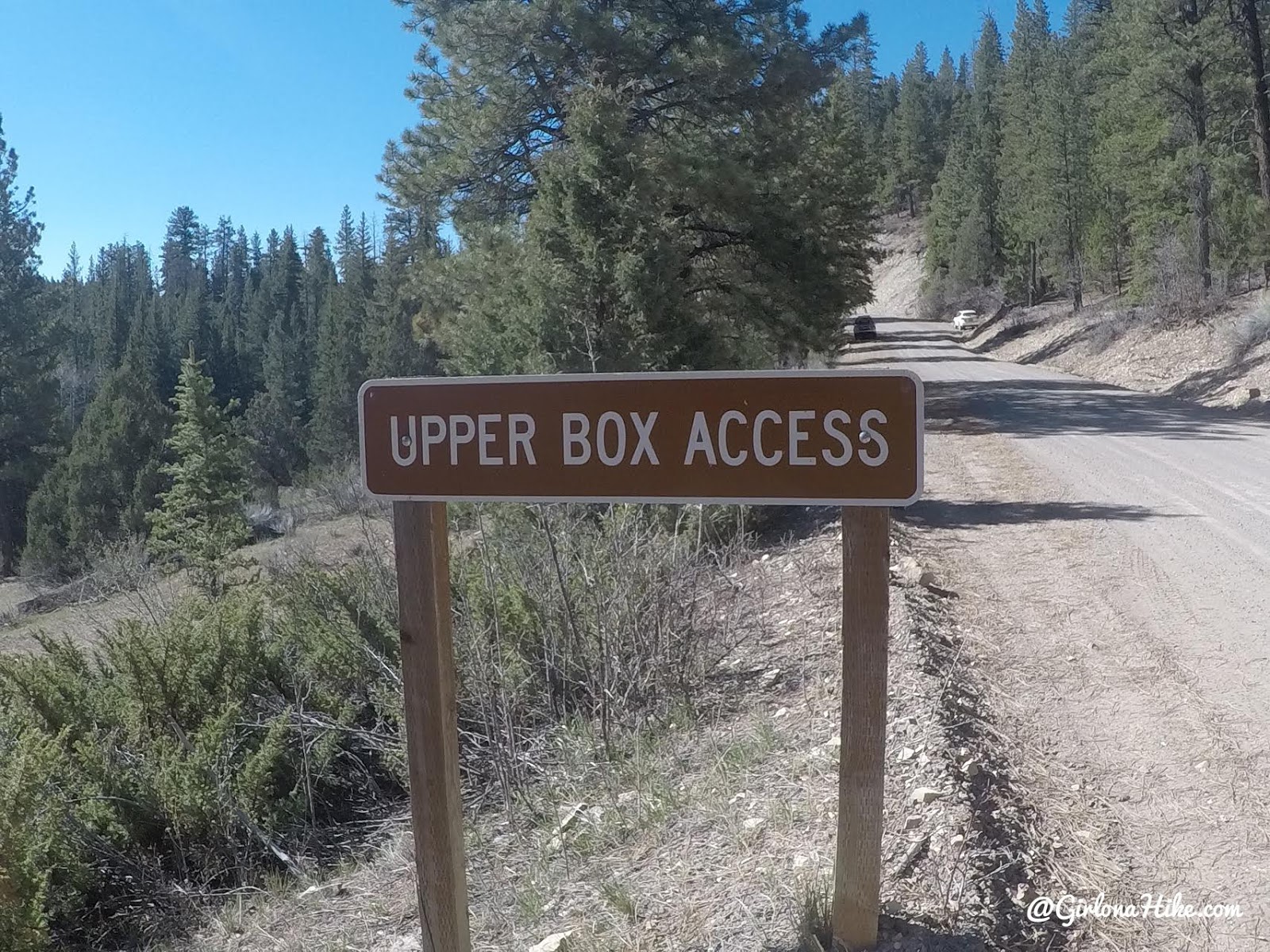 Hiking Pine Creek (The Box Trail) in Escalante, Utah, Hiking in Grand Staircase Escalante National Monument, Hiking in Utah with Dogs