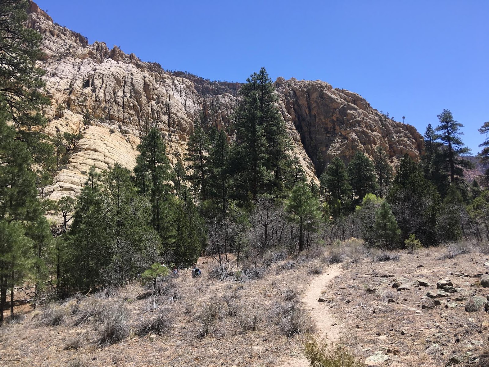 Hiking Pine Creek (The Box Trail) in Escalante, Utah, Hiking in Grand Staircase Escalante National Monument, Hiking in Utah with Dogs