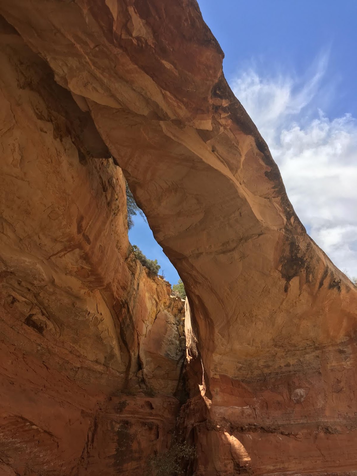 Hiking to Bowington Arch Girl on a Hike