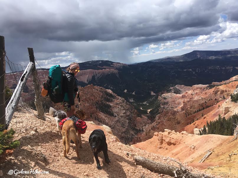 Backpacking the Ashdown Gorge via Rattlesnake Creek