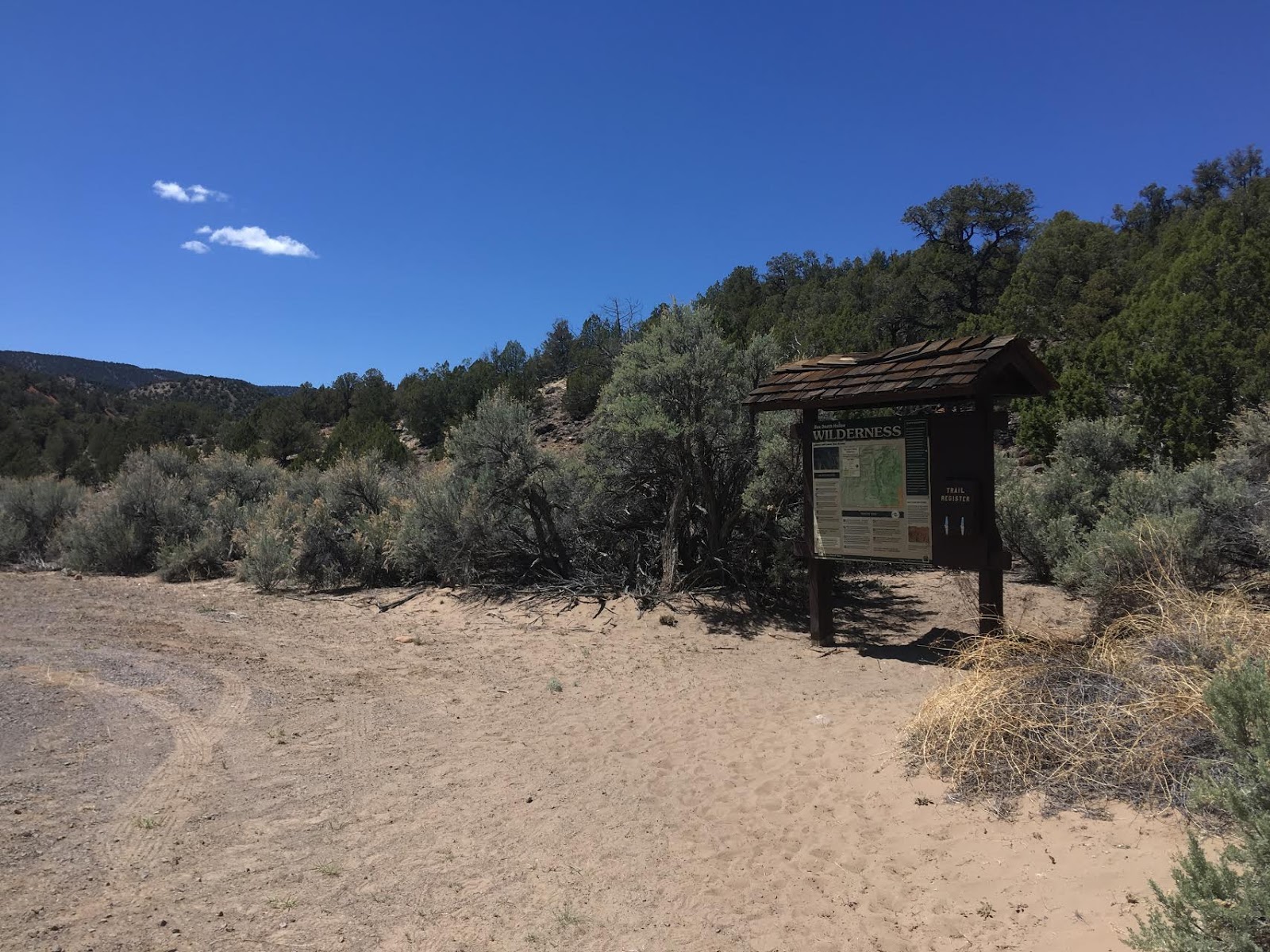 Hiking Pine Creek (The Box Trail) in Escalante, Utah, Hiking in Grand Staircase Escalante National Monument, Hiking in Utah with Dogs