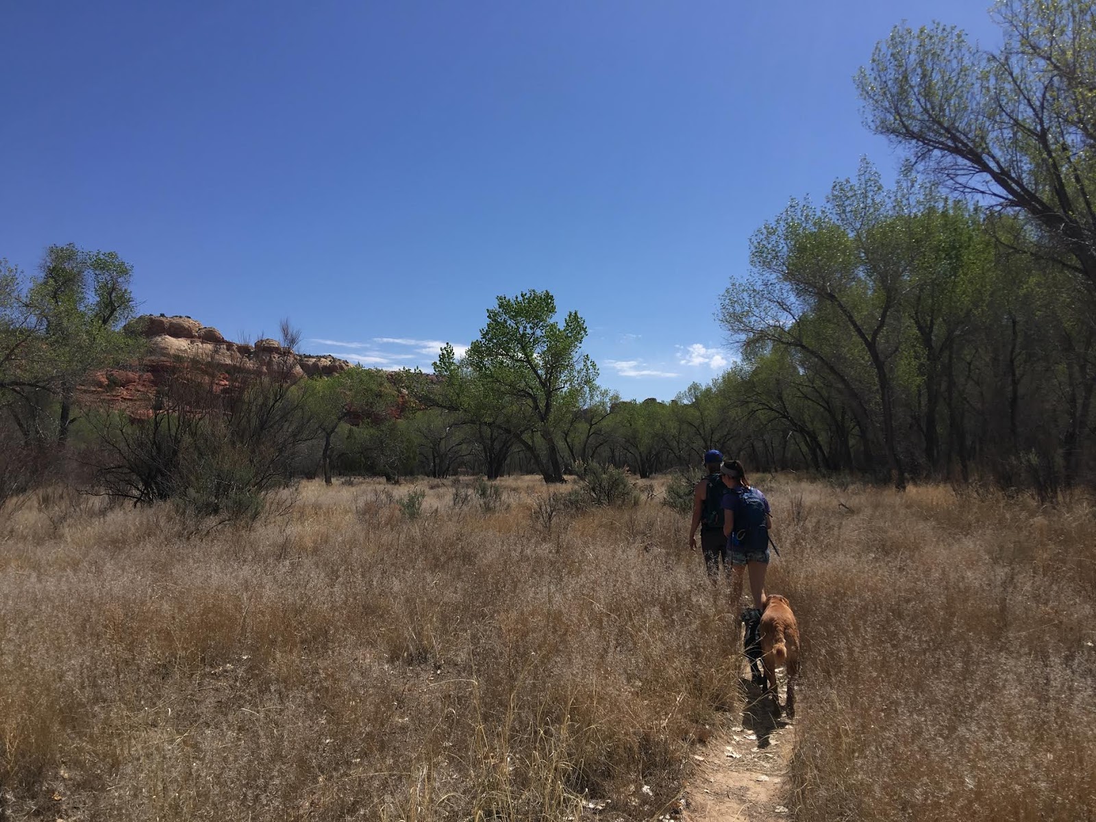 Bowington Arch Grand Staircase Escalante National Monument (GSENM), Hiking with Dogs in Utah