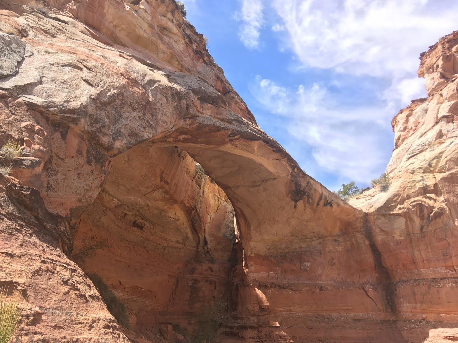 Hiking to Bowington Arch Girl on a Hike