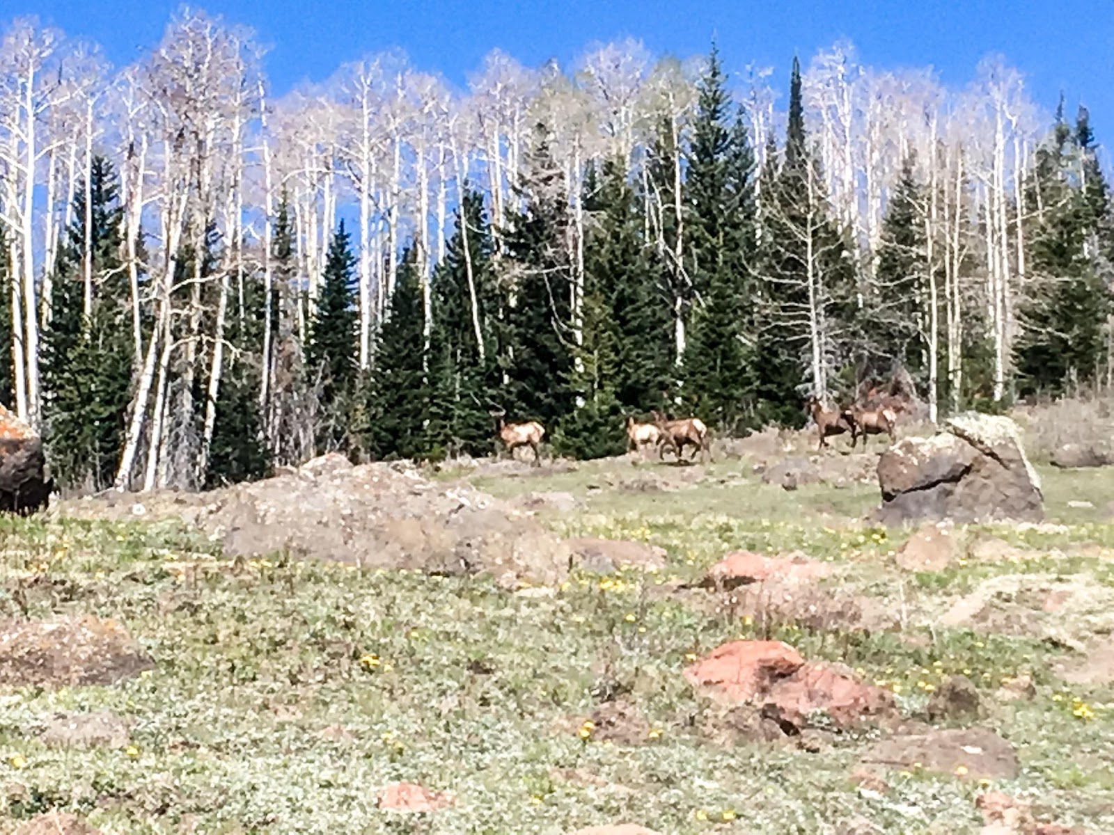 Hiking the Behunin Trail & Meeks Lake Loop, Boulder Mountain