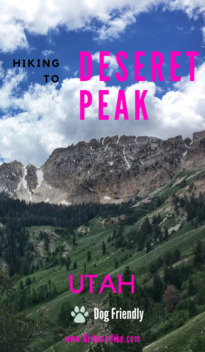 Hiking to Deseret Peak, Utah's Ultra Prominence Peaks, Hiking in Utah with Dogs