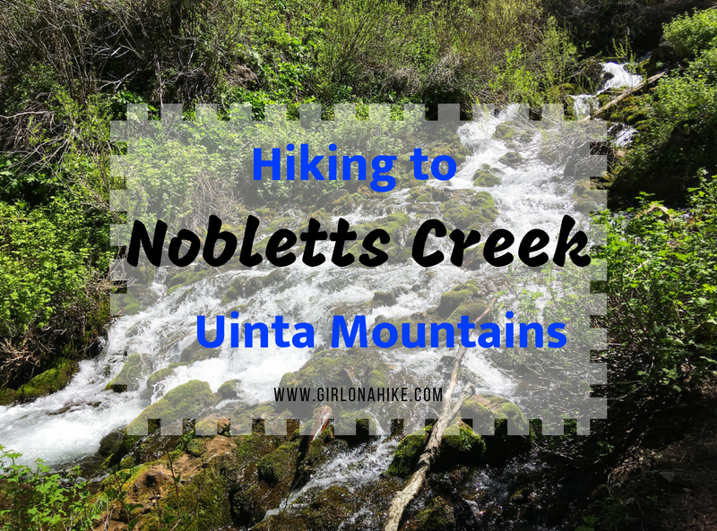 Hiking to Nobletts Creek, Uintas