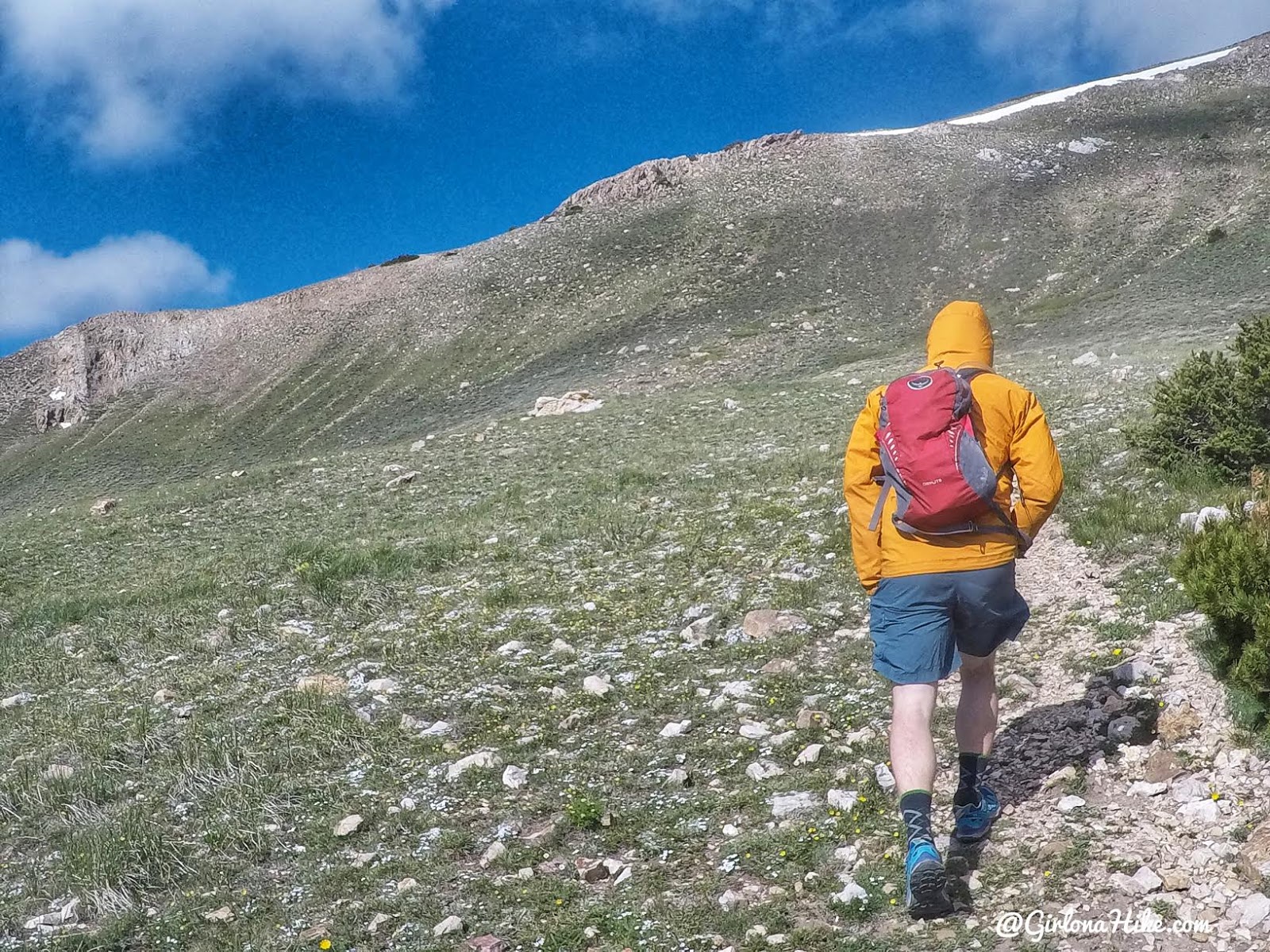 Hiking to Deseret Peak, Utah's Ultra Prominence Peaks, Hiking in Utah with Dogs