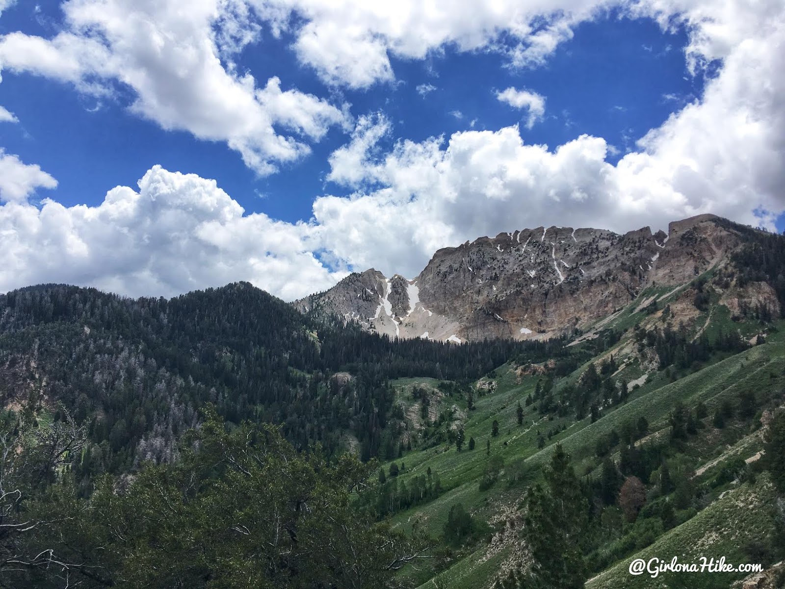 Hiking to Deseret Peak, Utah's Ultra Prominence Peaks, Hiking in Utah with Dogs