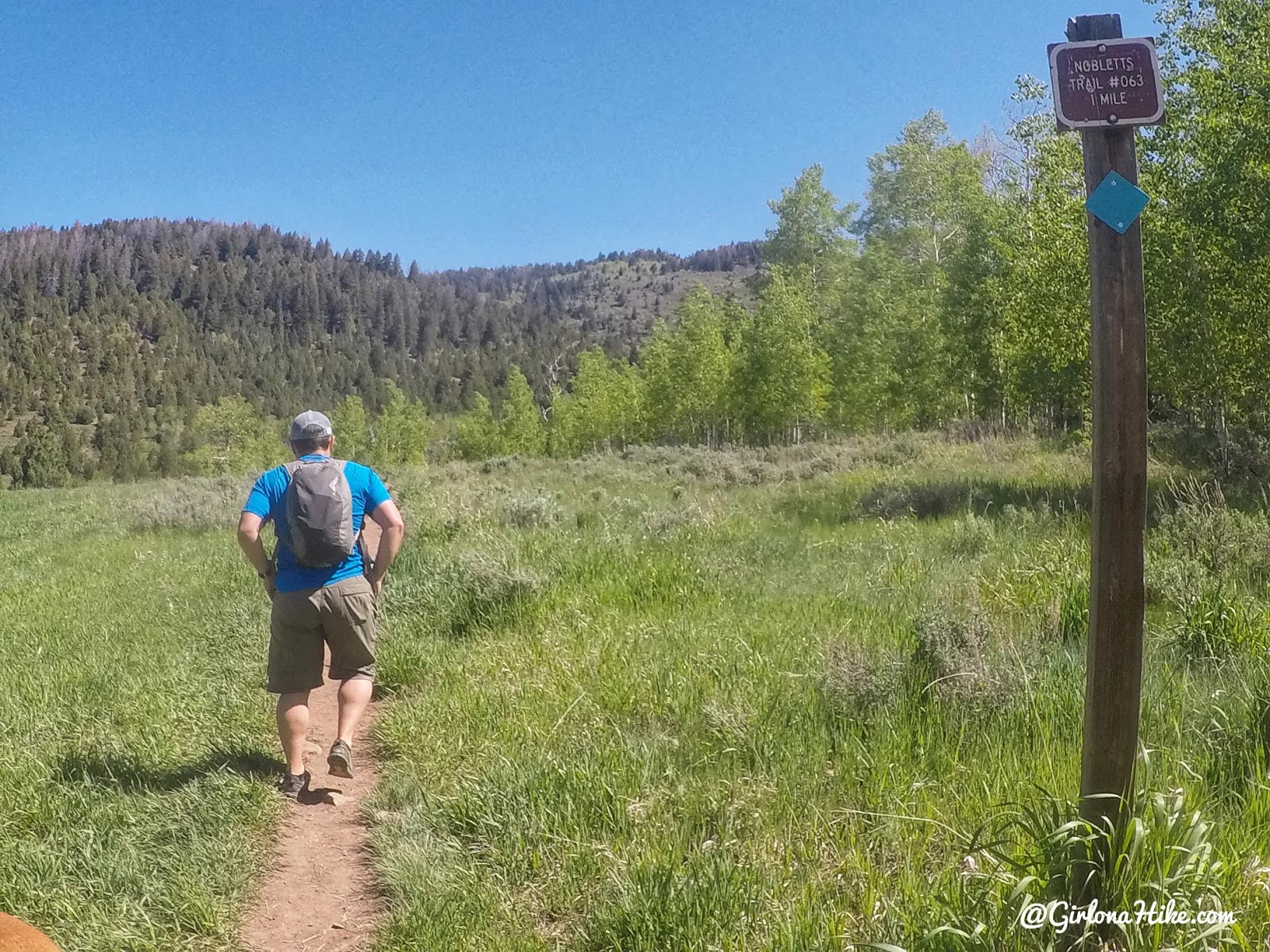 Hiking to Nobletts Creek, Uintas