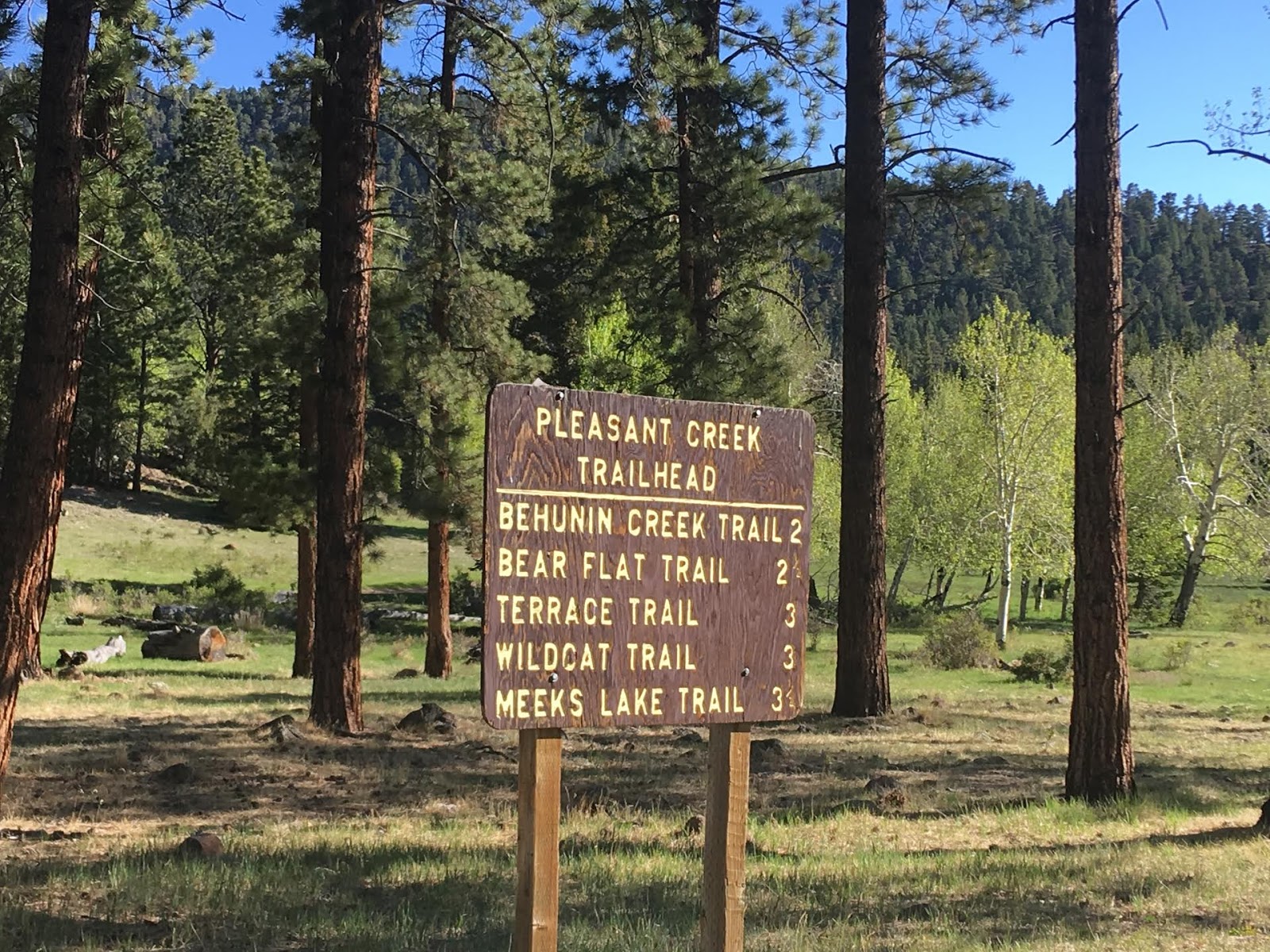 Pleasant Creek Campground Camping, Boulder, UT