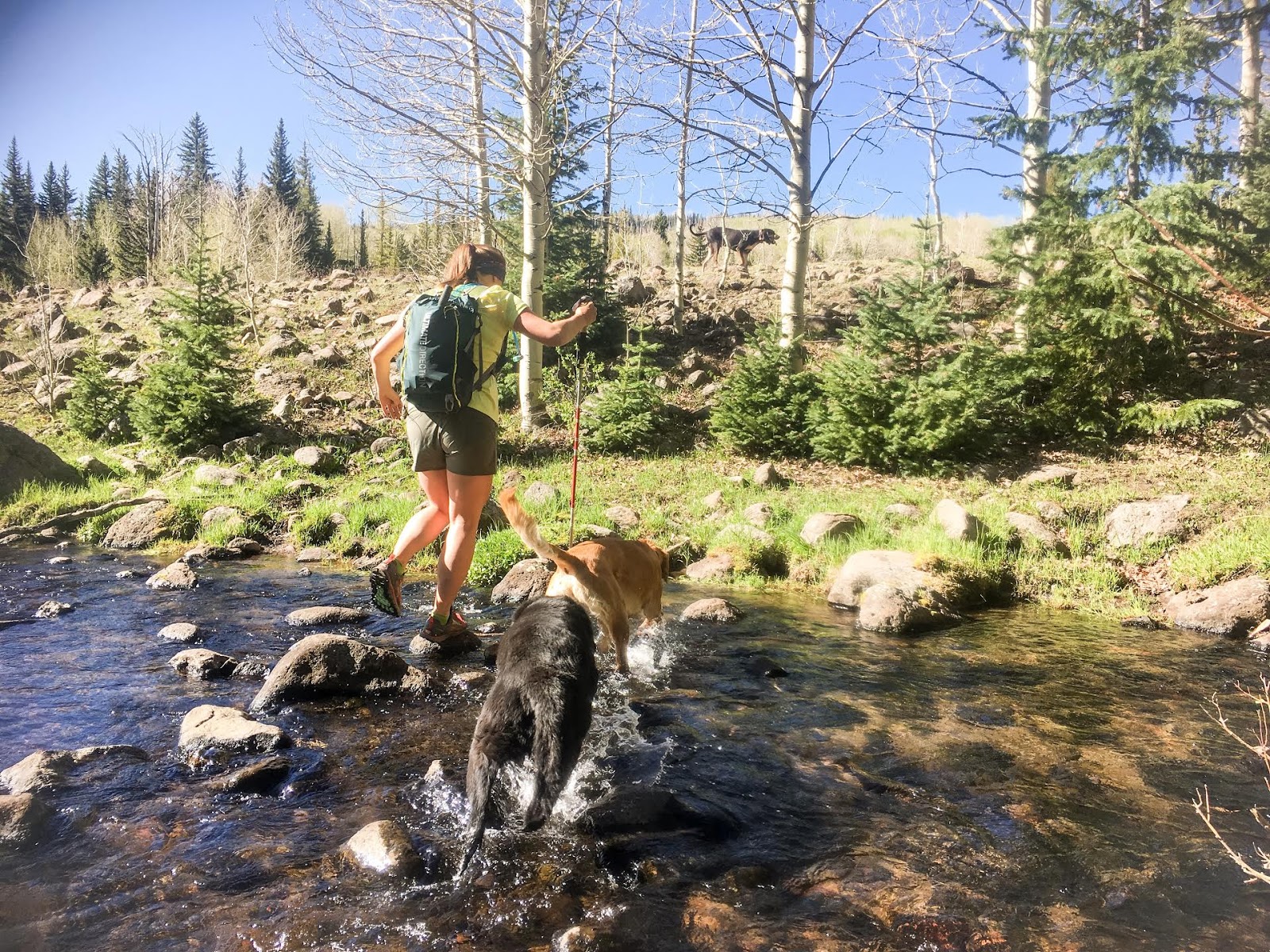 Hiking the Behunin Trail & Meeks Lake Loop, Boulder Mountain