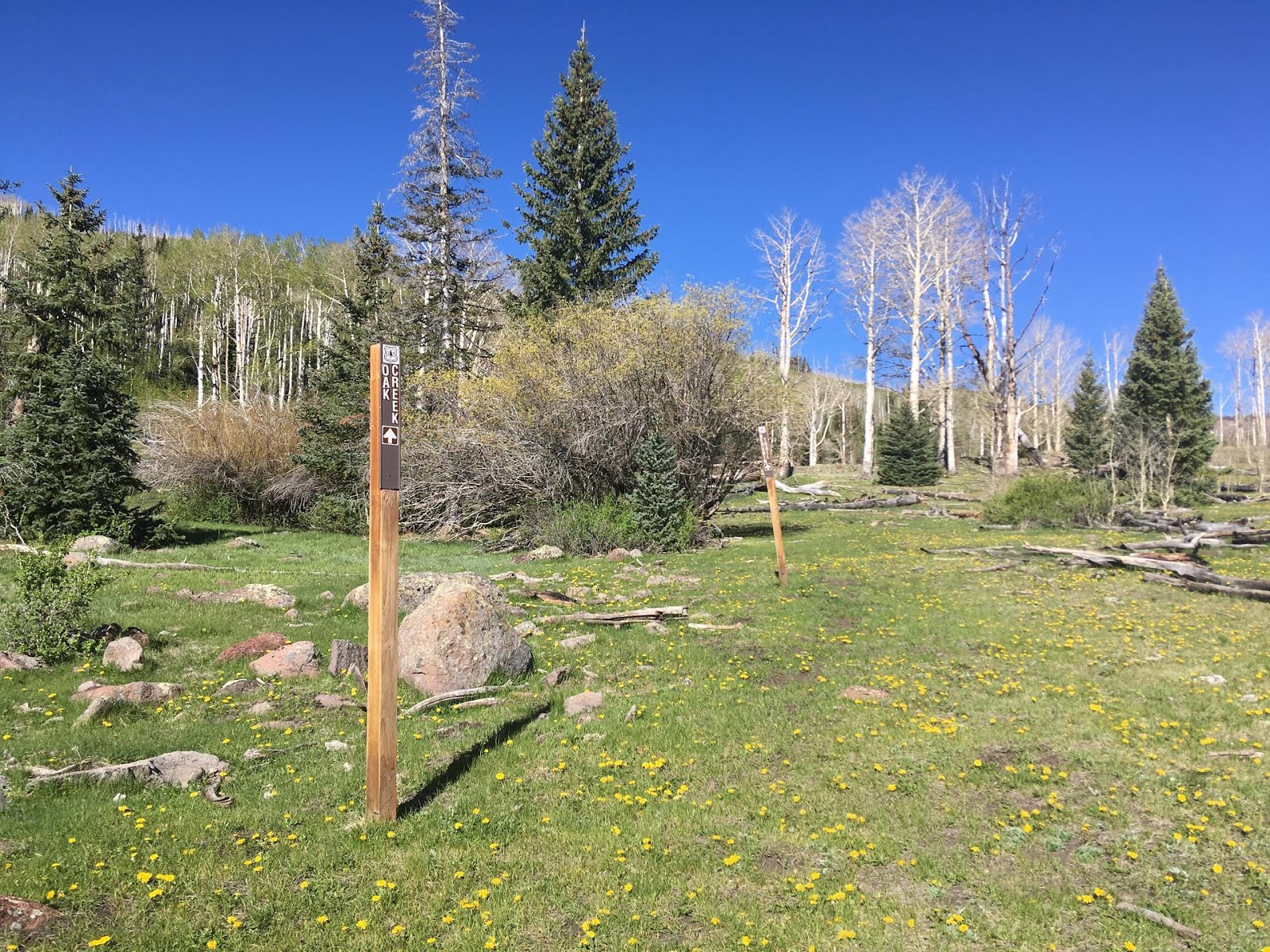 Hiking the Behunin Trail & Meeks Lake Loop, Boulder Mountain