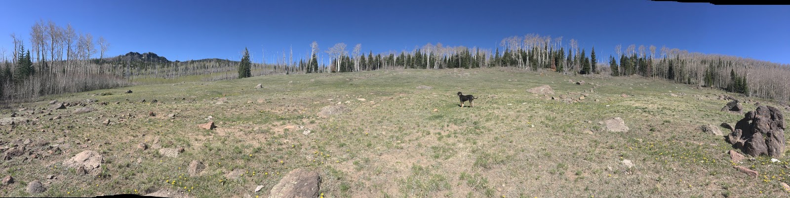 Hiking the Behunin Trail & Meeks Lake Loop, Boulder Mountain