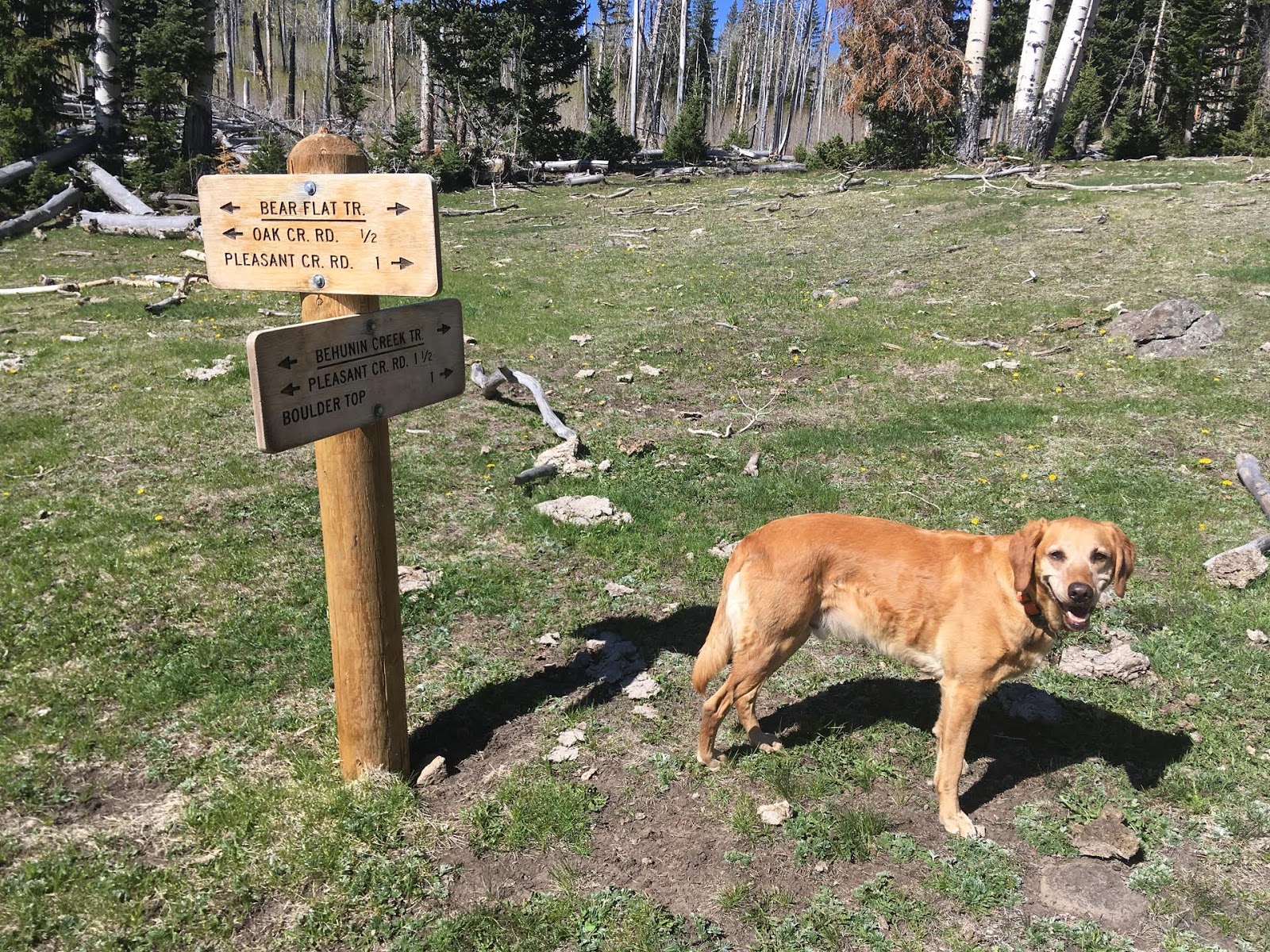 Hiking the Behunin Trail & Meeks Lake Loop, Boulder Mountain