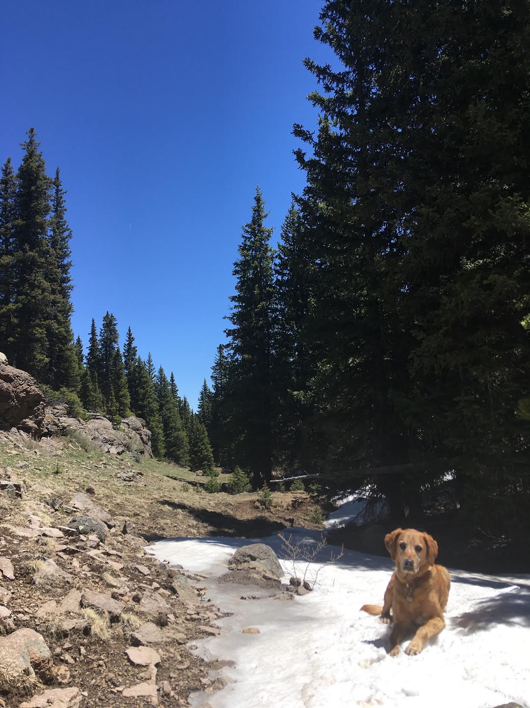 Hiking the Behunin Trail & Meeks Lake Loop, Boulder Mountain