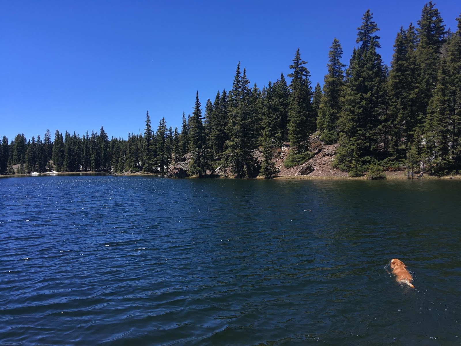 Hiking the Behunin Trail & Meeks Lake Loop, Boulder Mountain