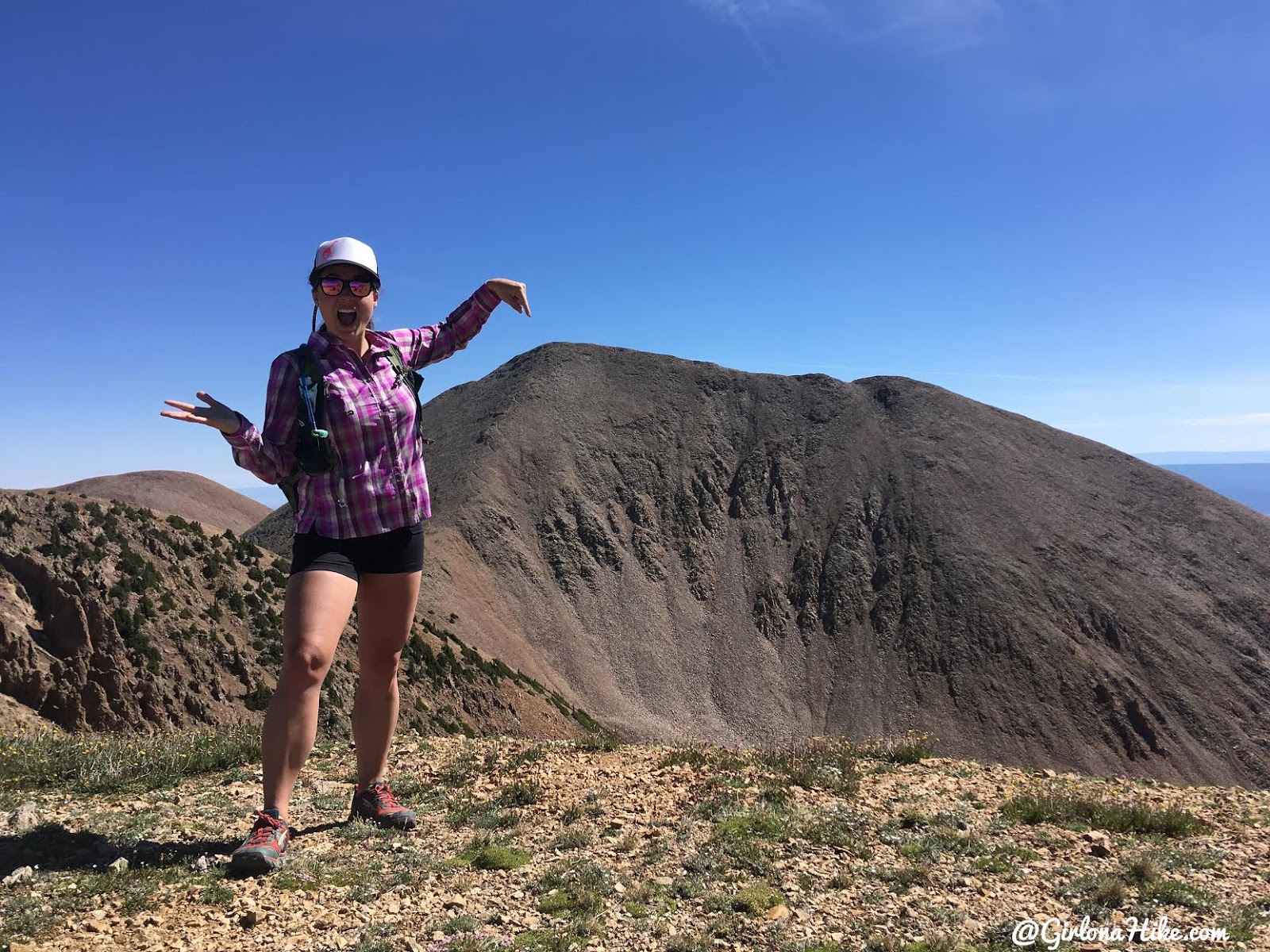 Hiking to Mt. Waas, LaSal Mountains, Grand County High Point, Hiking in Utah with Dogs