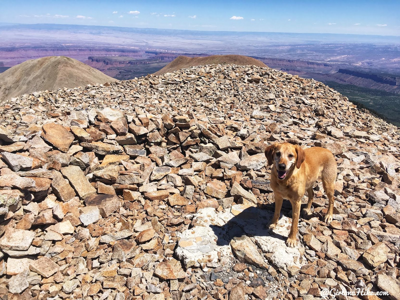 Hiking to Mt. Waas, LaSal Mountains, Grand County High Point, Hiking in Utah with Dogs