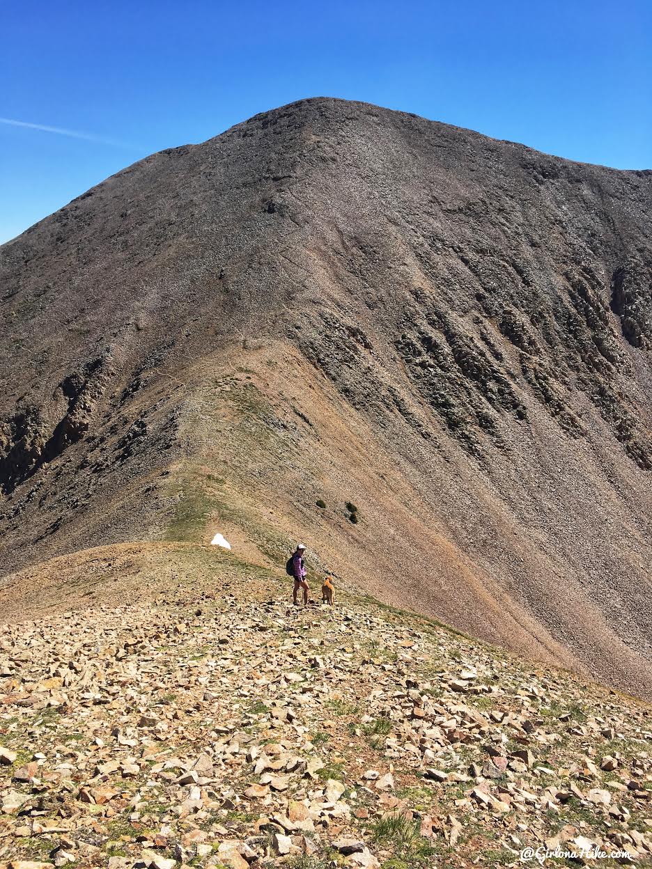 Hiking to Mt. Waas, LaSal Mountains, Grand County High Point, Hiking in Utah with Dogs