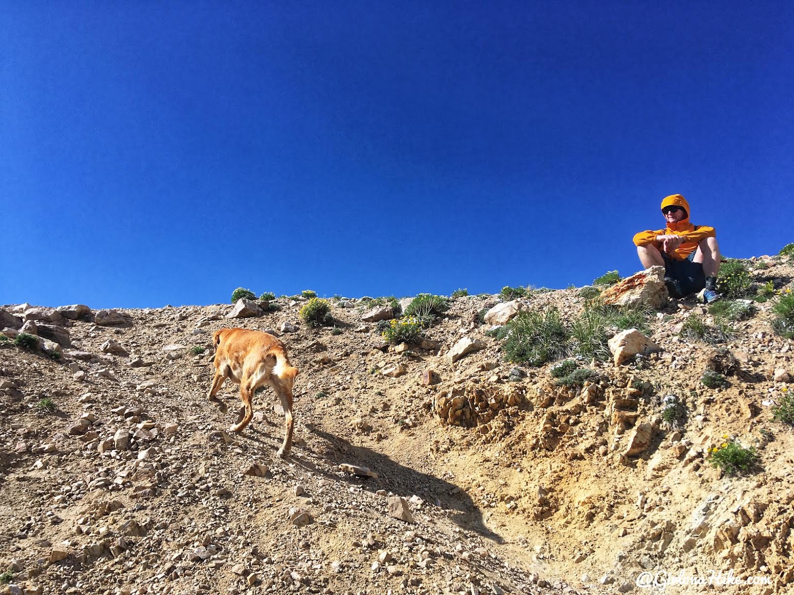 Hiking to Deseret Peak, Utah's Ultra Prominence Peaks, Hiking in Utah with Dogs