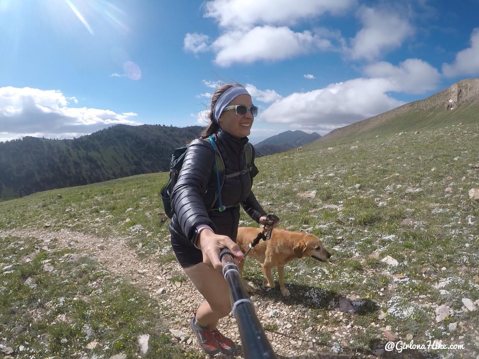 Hiking to Deseret Peak, Utah's Ultra Prominence Peaks, Hiking in Utah with Dogs