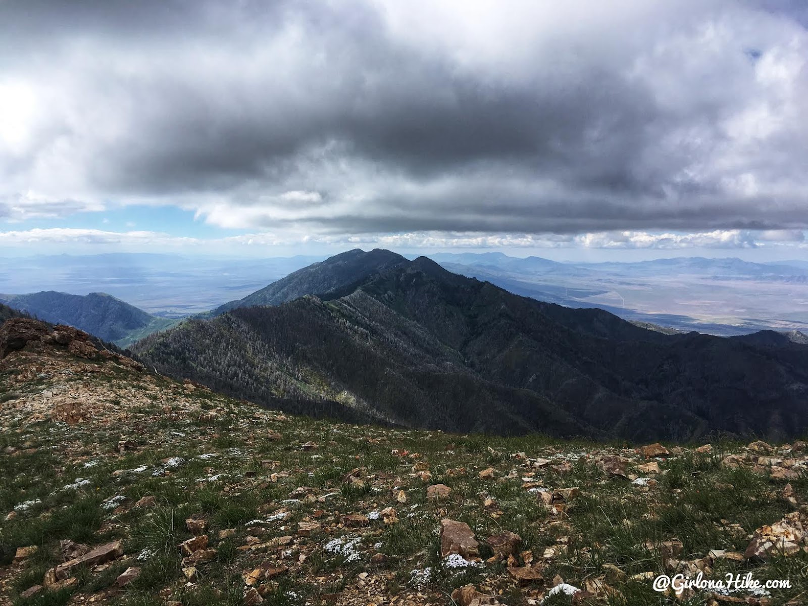 Hiking to Deseret Peak, Utah's Ultra Prominence Peaks, Hiking in Utah with Dogs