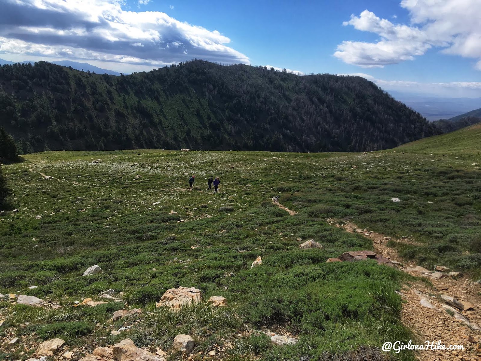 Hiking to Deseret Peak, Utah's Ultra Prominence Peaks, Hiking in Utah with Dogs